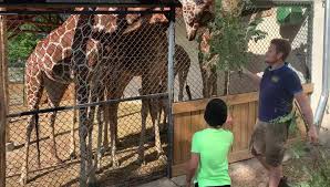 Implantée à toulouse (31500), elle est spécialisée dans le secteur d'activité des autres activités récréatives et de loisirs. Association 123 Soleil Home Facebook