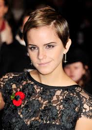 Evolution of hermione granger harry potter #evolution #shorts. Emma Watson S Hair Evolution