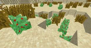 Minecraft + lego = love (making my own texturepack!) seems the one biome we didn't get is desert cause we can't find a single cactus in our entire world. Desert Expansion Mods Minecraft Curseforge