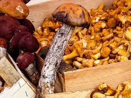 24 Calendrier Des Fetes Des Villes Et Villages De La Dordogne Nouvelle Aquitaine