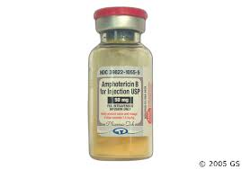 Image result for Amphotericin B