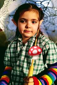 Mushroom playhouse fairy garden photo from 2020