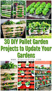 30 Diy Palettengarten Projekte Zur Aktualisierung Ihrer Garten Beste Diy Ideen 2019 2020 Paletten Garten Krautergarten Palette Palettengarten