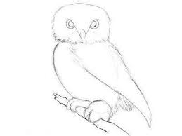 Wir haben eine anfänger gerechte auswahl an büchern zusammengestellt. Schone Bilder Zum Zeichnen Tiere Animal Drawing Ideas Schone Bildzeichnung Animal Cool Collections Pencil Dr Painting N Drawing Trends Tiere Zeichnen Zeichnung Grossartige Zeichnungen Das Zeichnen Eines Lebendigen Tieres Ist