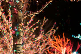 Uk's largest range of christmas lights, trees and decorations. Christmas Lights Around The Puget Sound Region Greater Seattle On The Cheap