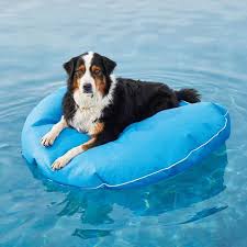Dog Pool Float And Lounger Frontgate Tiere Schwimmen