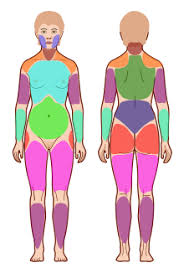 Diese kriterien sind klassifikationskriterien, nicht diagnostische kriterien. Fibromyalgia Wikipedia