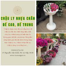 Chậu ly nhựa chân đế cao, chậu ly đế trung