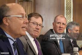 490 Mcgroarty Stock Photos, High-Res Pictures, and Images