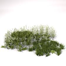 3d Grass Natural Model Photoshop Landscape Cool Landscapes Landscape Plan