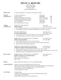 The template can fit the following positions: Flight Instructor Resume For 2021 Printable And Downloadable Just