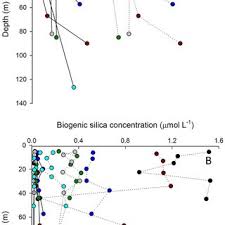 Elisa Romanelli's research works