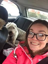 We are playing 😄🌞🌞❤️ #Armani ❤️ PLL Clear #sealyhamlove #sealyhampuppy  Pedigree here http://www.sealyham.ru/en/dog/5547/1/