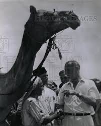 As panhwar's car came across the camel cart, which allegedly didn't give him way to pass by, the cop and his guards started torturing the poor labourer, the video appears to show. Karachi The Karachi Kid