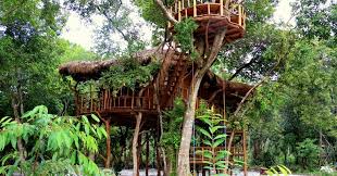 We did not find results for: Kode Alam Kupu Kupu Masuk Rumah Siang Hari Berbagai Rumah