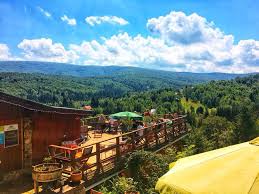 Festivalul anunță 3 scene de concerte live și peste 80 de artiști din întreaga lume, care vor delecta publicul cu jazz american și. GÄrana Jazz Fest 2018 Trei BeÅ£ivi