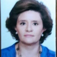 50+ "Irma Zárate" profiles