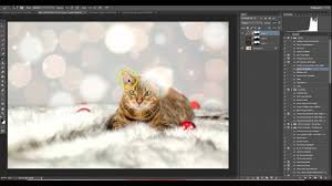 Well there is a good way to make adobe photoshop is one of the most important photo editors to overlay photos or superimpose photos. How To Apply An Overlay In Photoshop Cc Clp Design Youtube