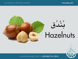hazelnuts learning arabic learn arabic language teach arabic