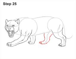 We did not find results for: Black Panther Animal Drawing Step By Step Novocom Top