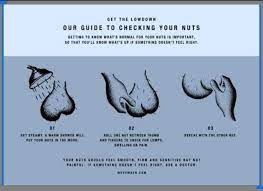 Testicular cancer most commonly affects males 15 to 35 years old, though it can affect men of any age. A Guide To Check Your Nuts To Check For Signs Of Testicular Cancer Coolguides