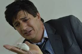 疯狂的米罗- 抖音百科