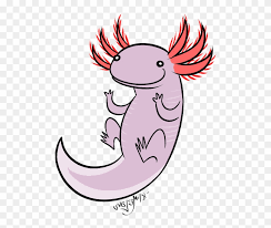 Amazon advertising find, attract, and Axolotl Clipart Tumblr Transparent Axolotl Free Transparent Png Clipart Images Download