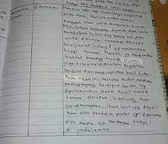 Atas dasar itu maka periode sebelum tahun 800 sesungguhnya tidak termasuk masa bali kuno. Bercocok Tanam Aspek Ekonomi Sosial Budaya Edukasi Lif Co Id