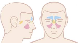 home remes to get rid of your sinus