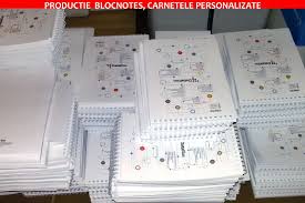 Mai bine cărtărescu decât ctp. Sc Biroul De Imagine Srl Website