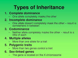 Repeats of faqs that are answered on the wiki page may be removed. Fun With Genes Home Facebook