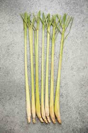 Lemongrass is a fragrant plant which is also called fever grass because of its ability to. How To Cook With Lemongrass Healthy Nibbles By Lisa Lin