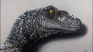 Realistic drawings sketches animal drawings art sketchbook art drawings art tattoo dinosaur tattoos art dinosaur drawing. Drawing Velociraptor Jurassic World Realistic Drawing Youtube