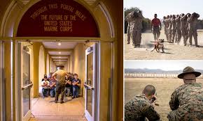 Marine Drill Instructor Forced Recruit To Eat A Pine Cone