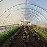 Vegetable tunnels for sale from www.bootstrapfarmer.com