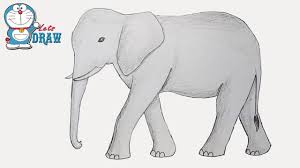 How To Draw Elephant Step By Step Youtube