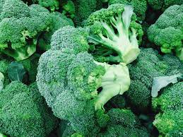 The best way to measure its intake is with a rain gauge. 6 Tips For Growing Broccoli This Fall How To Plant Broccoli