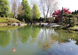 Take a tranquil tour through the portland japanese garden, proclaimed the most authentic japanese garden outside of japan. Bonn De Im Japanischen Garten In Der Rheinaue Ist Es Facebook