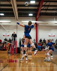 Image result for Deverra burchellii