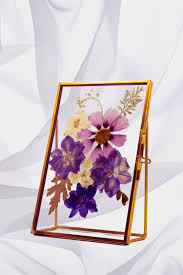 Portfolio - Anthos Website