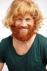 Ginger Beard Men Hair Color Beard Styles Red Beard