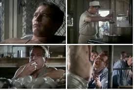 Stuart rosenberg, with his second completed theatrical film, warners' cool hand luke, makes a powerful bid for a position among the top ranks of directors for the big screen. Paul Newman As Cool Hand Luke Eats 50 Eggs Serious Eats