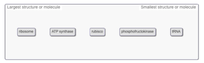 The instructions for forming species' characteristics are carried in dna. Biology Ch 6 Hw Flashcards Quizlet
