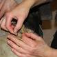 BEAVER SKIN TANNING & HAT SEWING 2026 event image