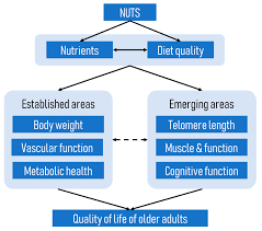 28 ft above sea level. Ijerph Free Full Text Nuts And Older Adults Health A Narrative Review Html