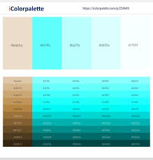 It's a flexible color that can feel edgy, modern, elegant and peaceful at the same time, depending on it's a beautiful color for people ready to dare originality. 10 Latest Color Schemes With Beige And Aquamarine Color Tone Combinations 2021 Icolorpalette