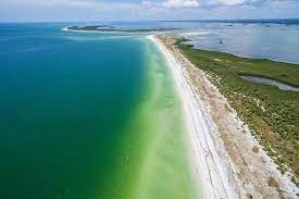 The Clear Waters Of Caladesi Island Florida Visit Florida Water Clear Water
