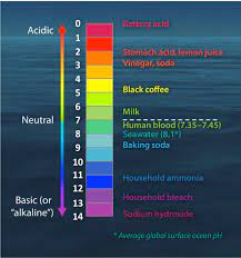 The Ph Scale With Some Common Examples Cream Of Tomato Soup Cream Of Tomato Alkaline Diet