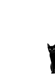 Delectable Decadence Photo Cat Wallpaper Cat Background Cats Illustration