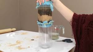 It may be placed in the top of a jar, which will receive the filtered water. Homemade Water Filter Completed Science Project Youtube